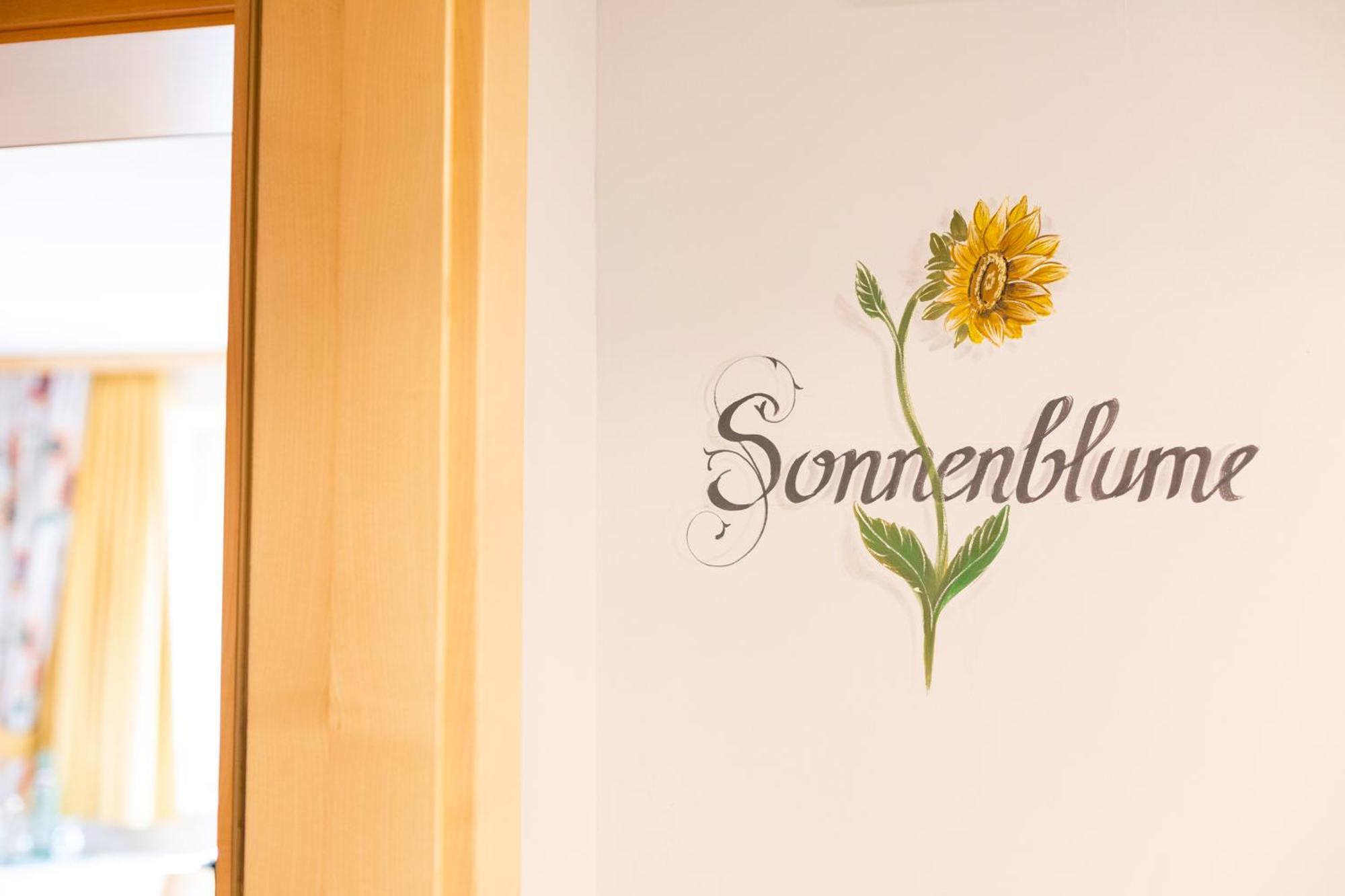 Residenz Theresa Söll Pokój zdjęcie